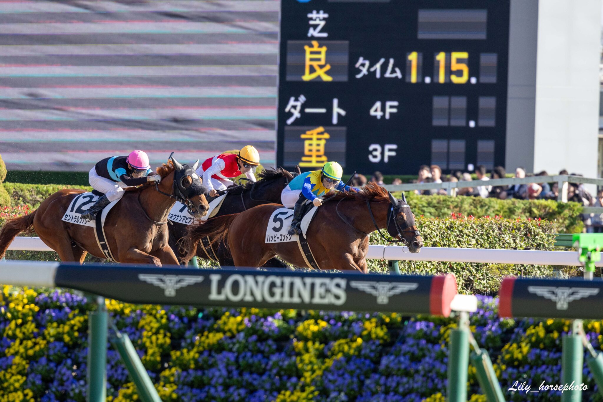 競馬撮影に必要なテクニック ~躍動感を写真に納めるコツ~